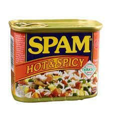 SPAM Y SMILEY, DOS NUEVAS PALABRAS