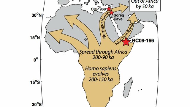 Movimiento del hombre