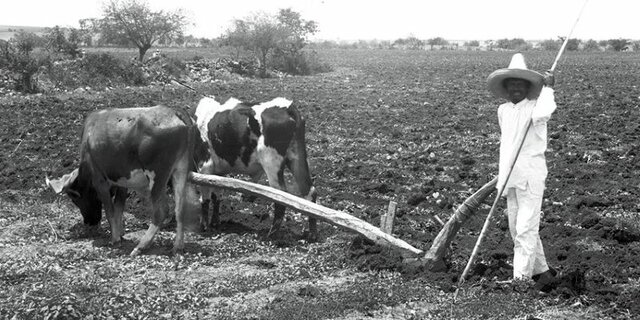 Se establece la restitución de tierras.