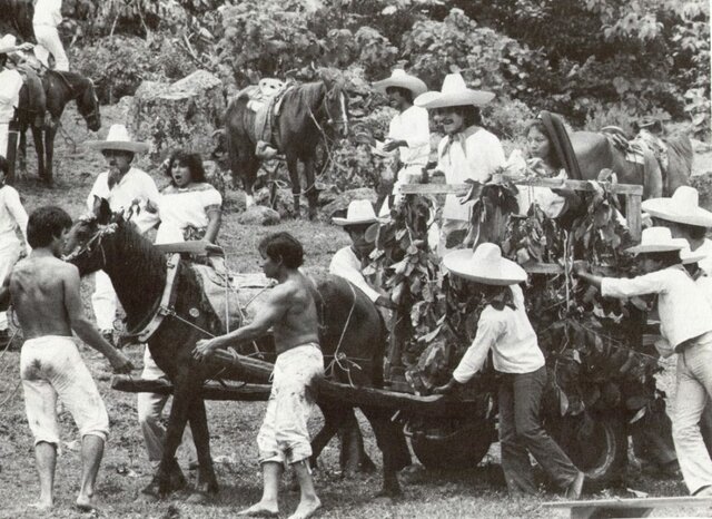 Florecimiento de las misiones culturales