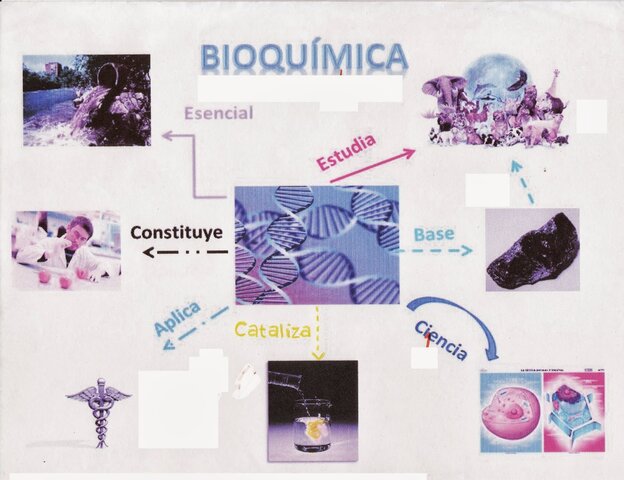 Desarrollo de la disciplina de la bioquímica