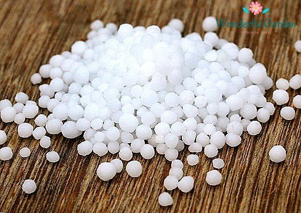 Cristalización de la Ureasa