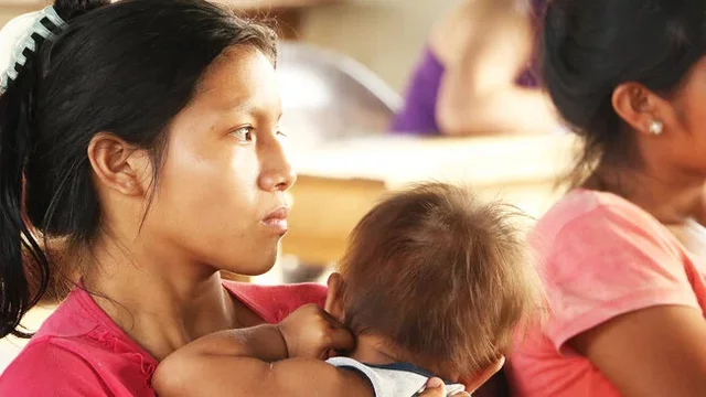 Encuesta Nacional de Salud Materno Infantil