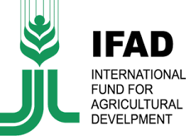 FONDO INTERNACIONAL DE DESARROLLO AGRÍCOLA (IFAD)