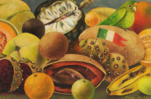 Natura morta amb lloro i bandera