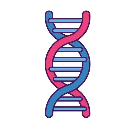 Descubrimiento molécula ADN