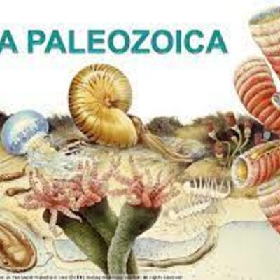 Timeline: ERA PALEOZOICA