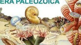 Timeline: ERA PALEOZOICA
