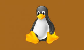 Es lanzado el Linux Kernel