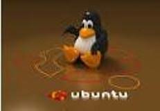 Lanzamiento de la distribución Ubuntu Linux