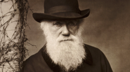 Timeline: Charles Darwin Timeline