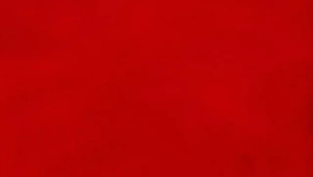 ES VAN CASAR ELS MEUS AVIS