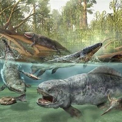 Timeline: Bio 2/2 DEL PALEOZOICO