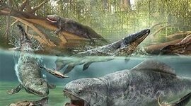 Timeline: Bio 2/2 DEL PALEOZOICO