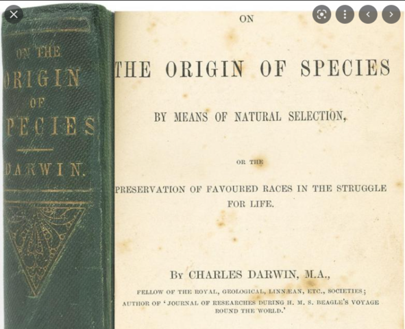 Origin of Species