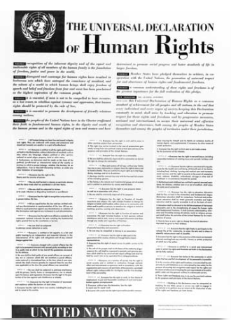 Declaración Universal de los Derechos Humanos