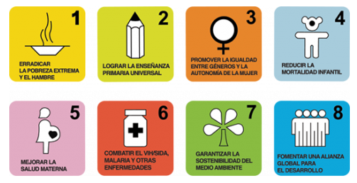 DECLARACIÓN DEL MILENIO