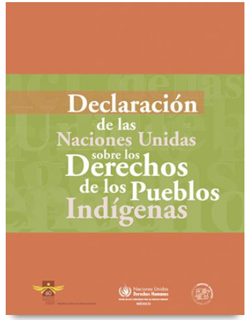DECLARACIÓN DE LAS NACIONES UNIDAS SOBRE LOS DERECHOS DE LOS PUEBLOS INDÍGENAS