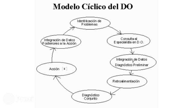 Tercera Raíz: Investigación-Acción