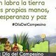Campesino