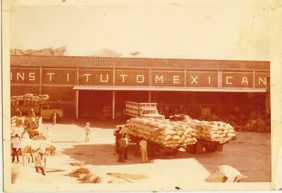 Fundación del INMCAFÉ: Instituto Mexicano del Café