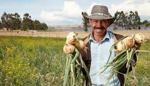 Reconocimiento político del campesinado