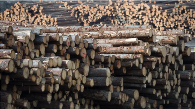 Recuperación de las tendencias de crecimiento