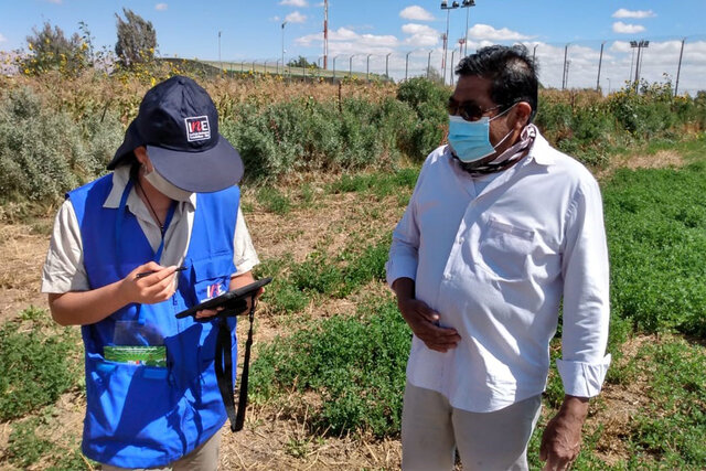 IV Censo Agropecuario