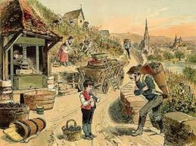 Principios de la Toxicología