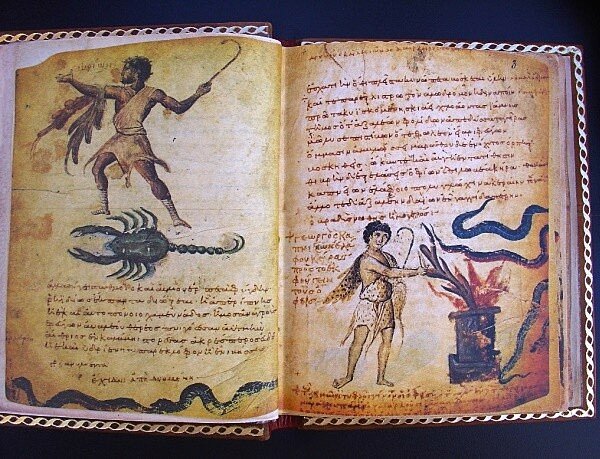 Libro relaciondo con la toxicología