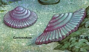 El Període del Tonià