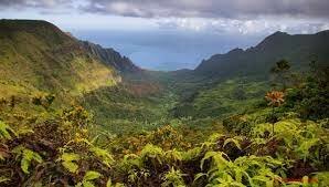 Clima tropical y húmedo