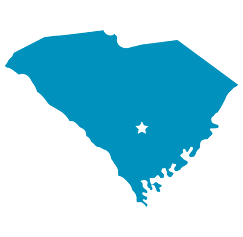 South Carolina's defense