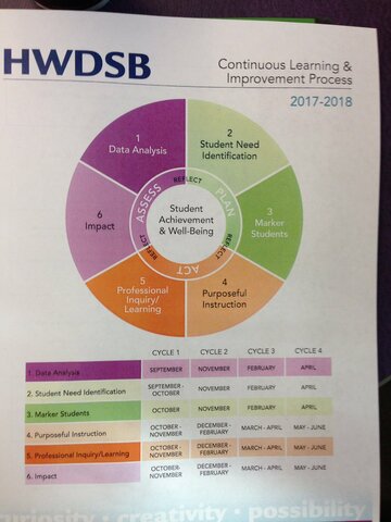 Cats in NYC go on strike