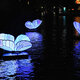 Farfalle festival delle luci amsterdam roberta arcangeli