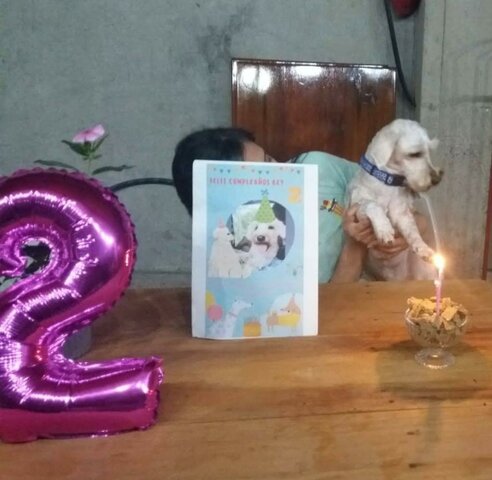 CUMPLEAÑOS DE MI BEBÉ