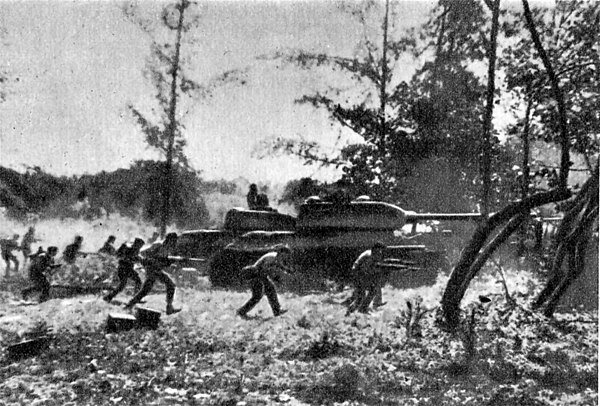 Bay of Pigs invasion