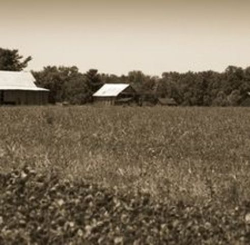 Mexico Attracting Settlers