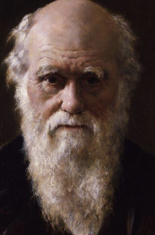 La théories de sélection naturelle de Charles Darwin