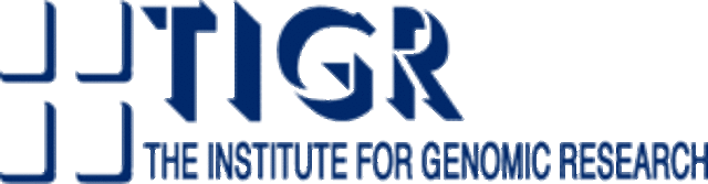 First Genome Sequened