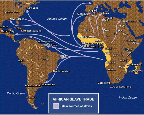 Congress banned the Slave Trade