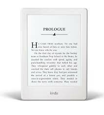 Lector de libros electrónicos (e-reader)