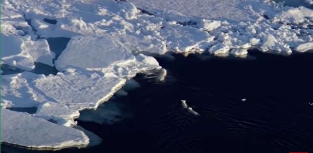 Siglo XXI: Extinción