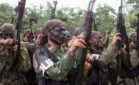 FORTALEZA DE LOS GRUPOS PARAMILITARES