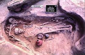 Primera etapa de evolución cultural