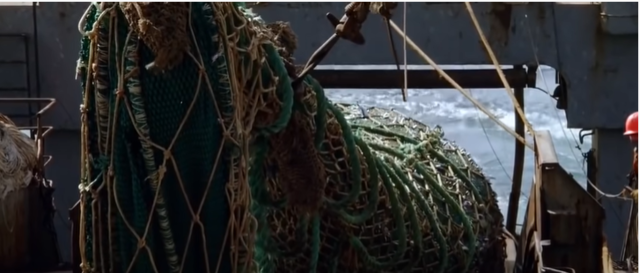 180 mil años: Asentamiento del hombre