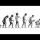 Evolucion de la sociedad