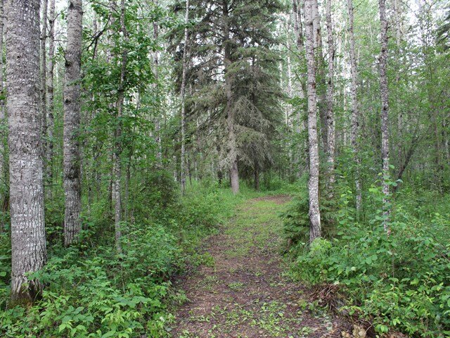 Negotiating for land