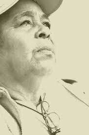 Corte Constitucional. Sentencia T 496/2008