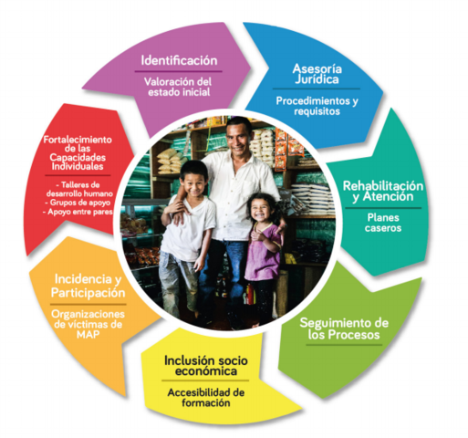 Sentencia C 534/2005.